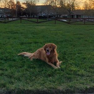 Meet your Posher, Vicky